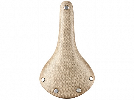 Brooks Cambium C17
