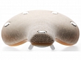 Brooks Cambium C17
