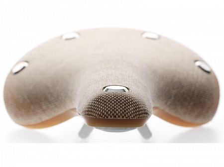 Brooks Cambium C17