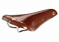 Brooks Team Pro Chrome