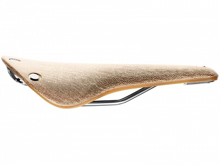 Brooks Cambium C17