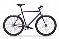Fuji Declaration 2019 Purple