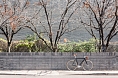 Велосипед State Bicycle Bernard